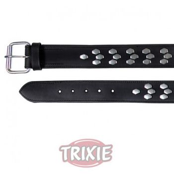 Collar Active Con Remaches De Trixie - L  48-55cm 40mm Negro