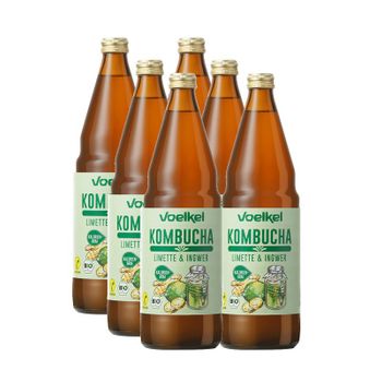 Kombucha Lima Y Jengibre Bio 6x750ml Voelkel