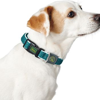 Collar Para Perro Hunter Basic Hilo Talla M Lima (33-50 Cm)