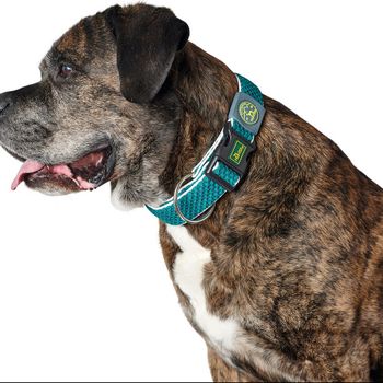 Collar Para Perro Hunter Plus Hilo Turquoise Turquesa Talla L (40-60 Cm)