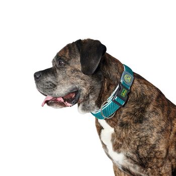 Collar Para Perro Hunter Plus Hilo Turquoise Turquesa Talla Xl (45-70 Cm)