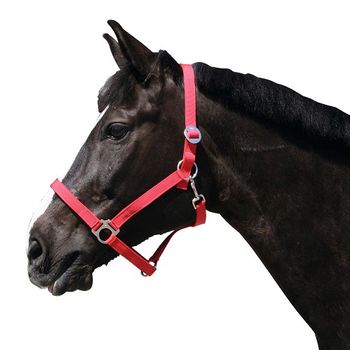 Kerbl Cabezada Clásica Caballo Nylon, Rojo, Talla 0