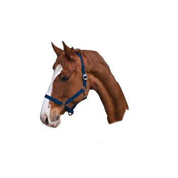 Kerbl Cabezada Clásica Caballo Nylon, Azul, Talla 3