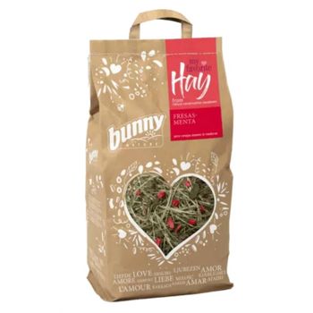 Bunny Heno Prados Conservados Fresa Y Menta 100gr