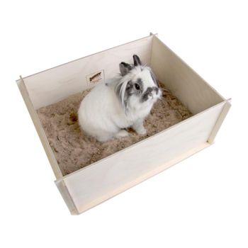 Bunny Interactive Digging Box