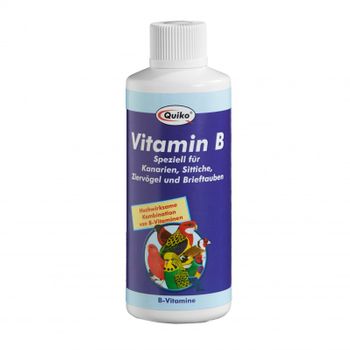 Vitamina B Quiko 100 Ml