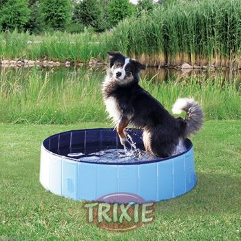 Primematik - 20 Empapadores Absorbentes De 60 X 90 Cm. Toallas De  Entrenamiento Para Perros Cachorros Ma15300