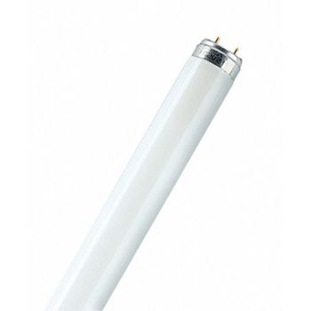 Tubo Fluoresce Lumilux Plus T8 - Osram - 18/21-865 - 18 W