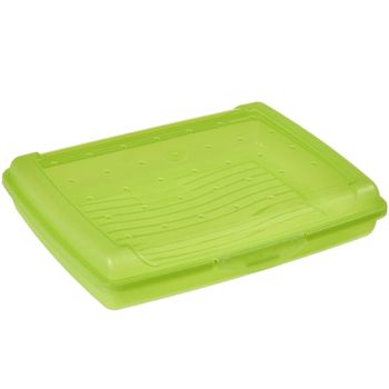 Fiambreara Tuppers Mini Plástico Keeeper Luca 17 X 13 X 3,5 Cm Verde.