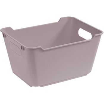 Caja De Almacenaje Plástico Keeeper Lotta 19,5 X 14 X 10 Cm Gris