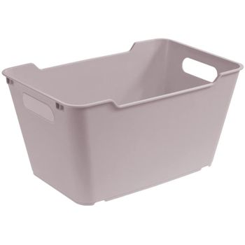 Caja De Almacenaje Plástico Keeeper Lotta 29,5 X 19 X 15 Cm Gris