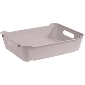 Caja De Almacenaje Plástico Keeeper Lotta 28 X 21 X 6,5 Cm Gris