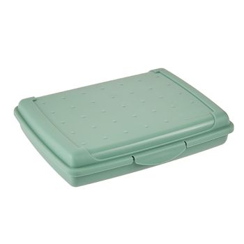 Caja De Almacenamiento Lisa Plástico Keeeper 17x13x3,5, Verde Nórdico