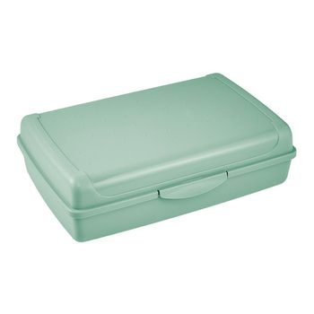 Caja De Almacenamiento Plástico Keeeper 30 X 20 X 8,5, Verde Nórdico