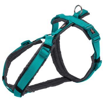 Arnés Trekking New Premium, S–m: 44–53cm/20mm, Azul Océano/grafito