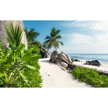 Sanders & Sanders Fotomural Playa Verde Y Azul - 450 X 280 Cm - 612669