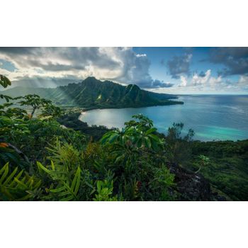 Sanders & Sanders Fotomural Isla Tropical Verde Y Azul - 450 X 280 Cm - 612698