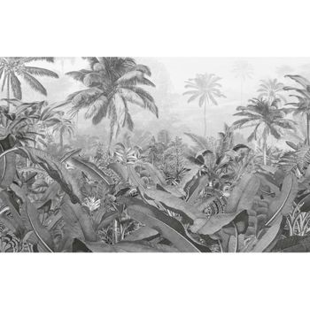 Mural Fotográfico Amazonia Negro Y Blanco 400x250 Cm Komar