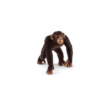 14817 Chimpancé Macho