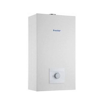 Bosch Calentador estanco Therm 5600S (30,5 kW, Caudal de agua: 12,5 l/min,  Gas butano)