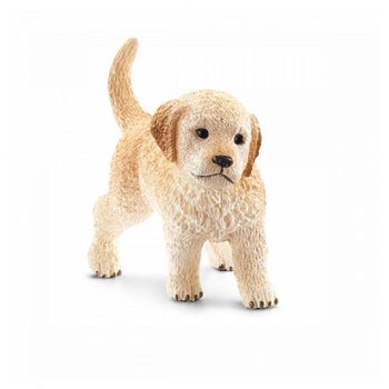 13696 Cachorro Golden Retriever