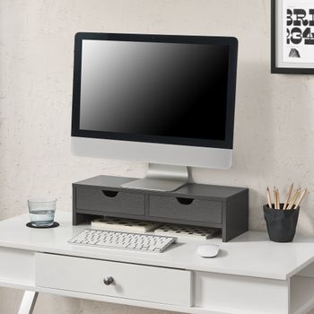 Soporte Para Monitor Mänttä Con 2 Cajones Aglomerado 50 X 18 X 13 Cm Gris Oscuro [en.casa]