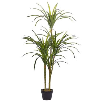 Planta Artificial En Maceta De Material Sintético Verde Y Negro 147 Cm Accesorio Decorativo De Interior Dracaena Anita - Verde