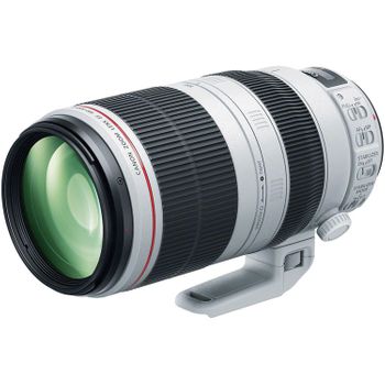 Canon Ef 100-400mm F/4.5-5.6l Is Ii Usm