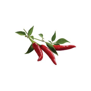 Click & Grow - Pimienta Picante Pods, 3-pack