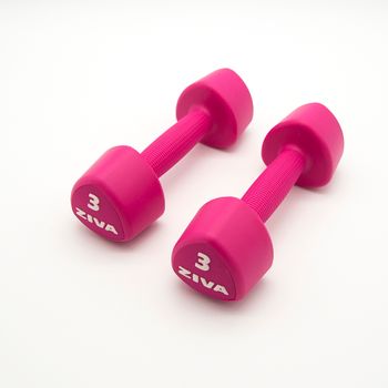 2 Mancuernas De 3 Kg Ziva Chic Studio Rosa