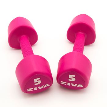 2 Mancuernas De 5 Kg Ziva Chic Studio Rosa