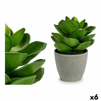 Planta Decorativa Gris Verde (16 X 21 X 16 Cm) (6 Unidades)