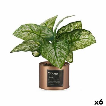 Planta Decorativa Home Cobre Lata (26 X 26 X 26 Cm) (6 Unidades)