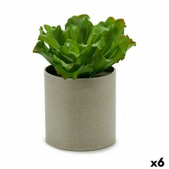 Planta Decorativa 20 X 25 X 20 Cm (6 Unidades)