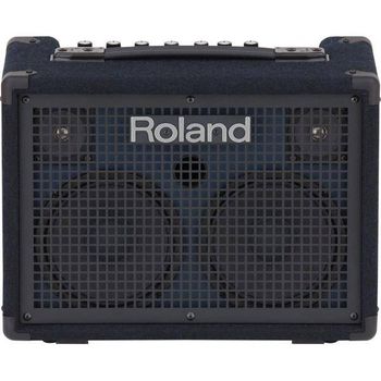 Roland Kc220 Amplificador Teclado