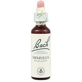 Flores De Bach Bach 05 Cerato 20 Ml (flores De Bach Ceratogtima )