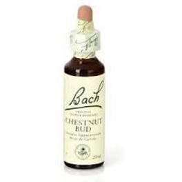 Flores De Bach Bach 07 Chestnut Bud 20 Ml (castaño Brote )