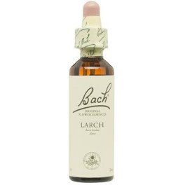 Flores De Bach Bach 19 Larch 20 Ml (alerce )