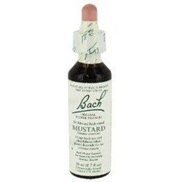 Flores De Bach Bach 21 Mustard 20 Ml (mostaza )