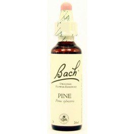 Flores De Bach Bach 24 Pine 20 Ml (flores De Bach De Pino )