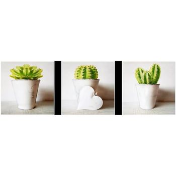 Cactus Arte De La Caja Conjunto De 3 Cajas Ar