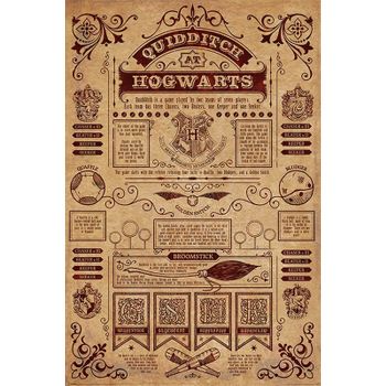 Maxi Poster Harry Potter (quidditch En Hogwarts)