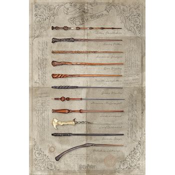 Poster Harry Potter The Wand Chooses The Wizard