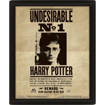 Cd. Cuadros 3d. Cuadro  3d Harry Potter -harry & S