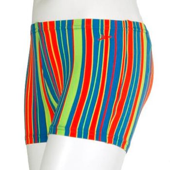 Bañador Niño Speedo 8-053947075 Multicolor