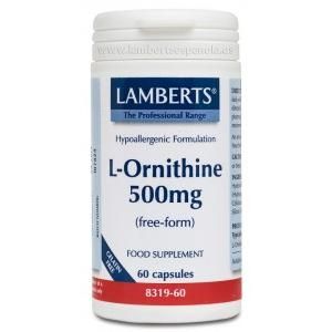 L-ornitina 500 Mg Lamberts, 60 Capsules