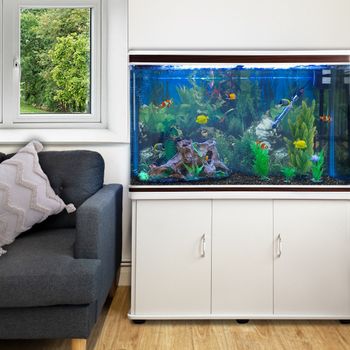 Acuario Completo De 300l Con Mueble Blanco