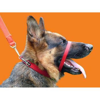 Canny - Collar Anti-tirones Para Perros (tamaño 4) (rojo)