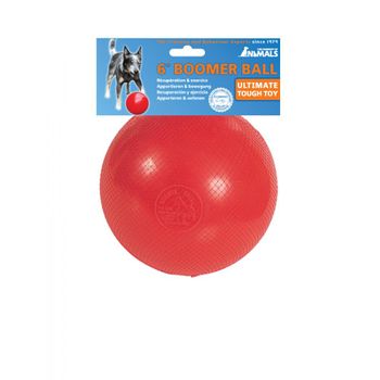 Pelota De Juguete Para Perros Con Sonido Ø 8cm-nobleza con Ofertas en  Carrefour