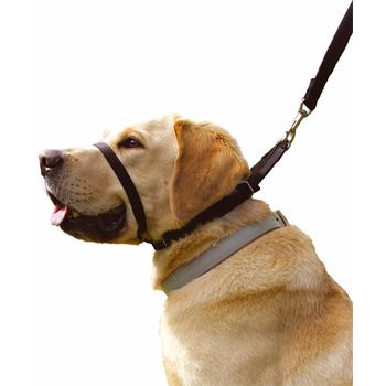 Collar Anti Tirones Canny Dog - 1